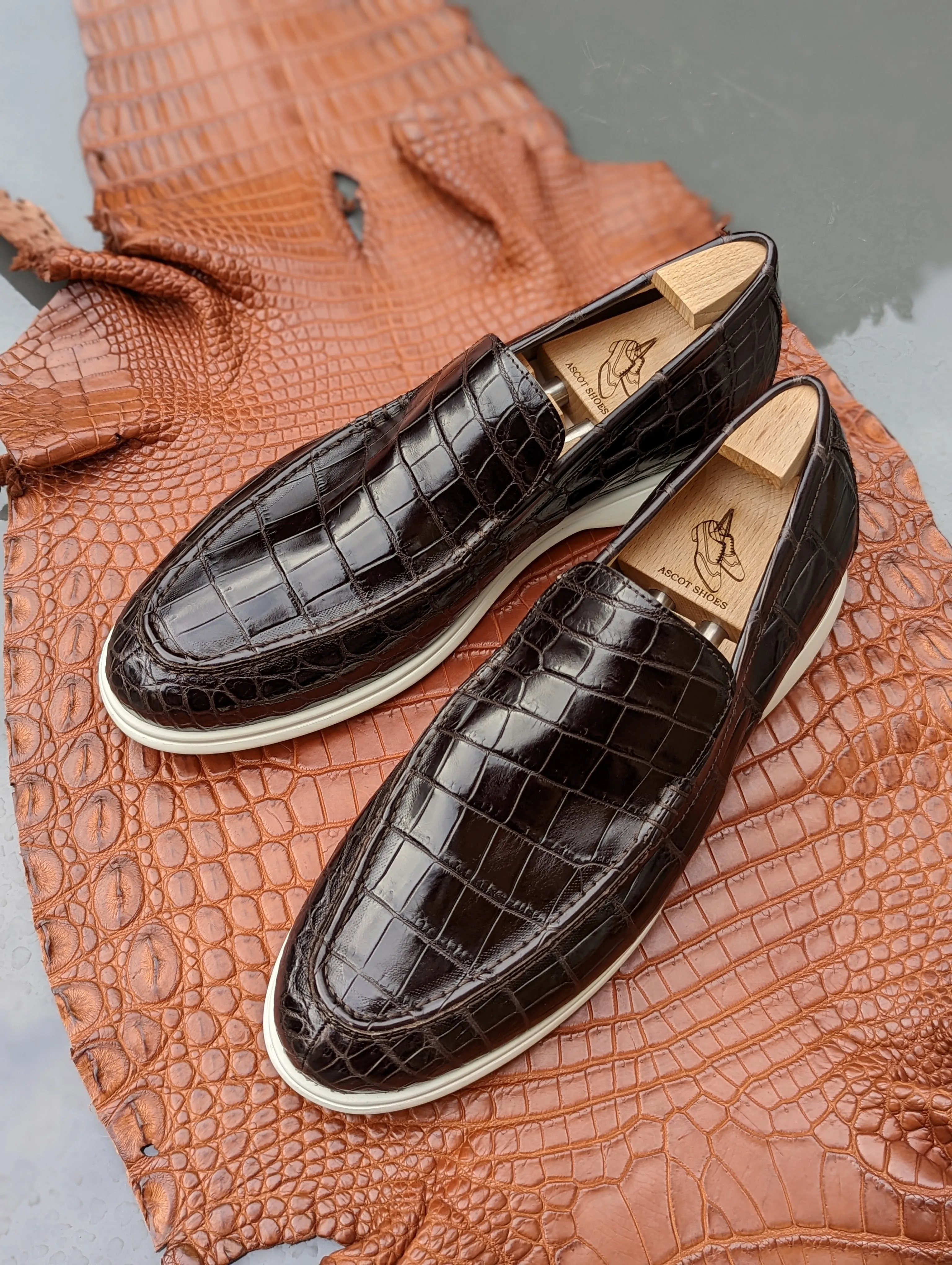 Ascot Ezee - Dark Chocolate Brown Crocodile