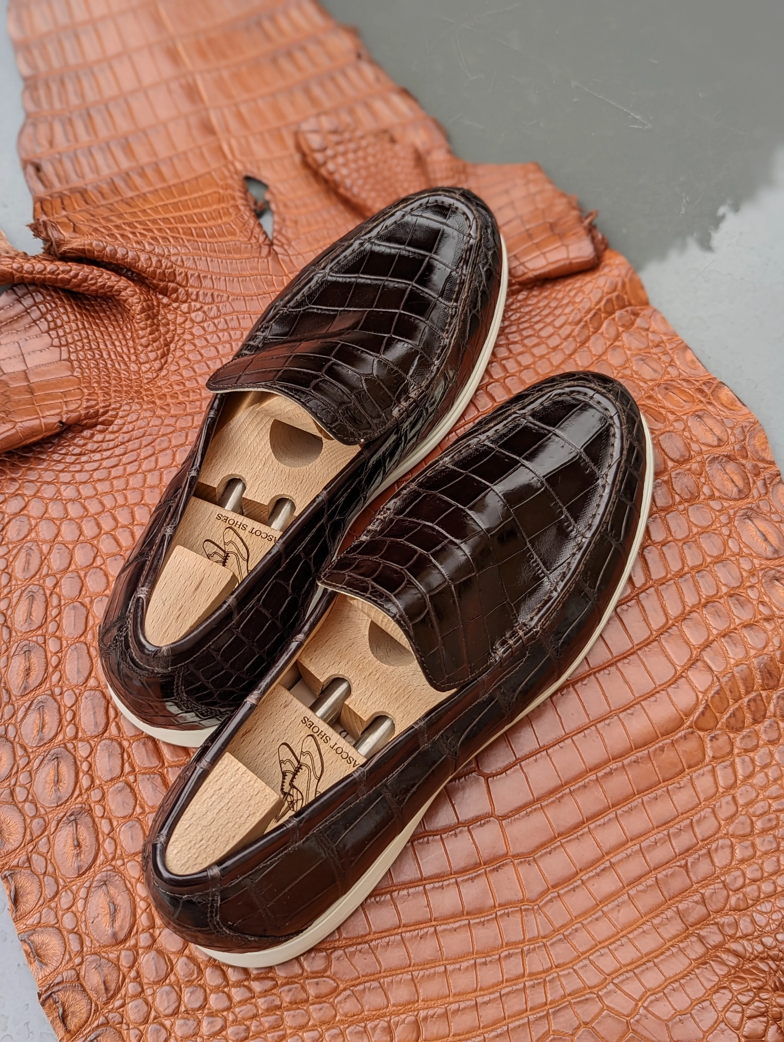 Ascot Ezee - Dark Chocolate Brown Crocodile