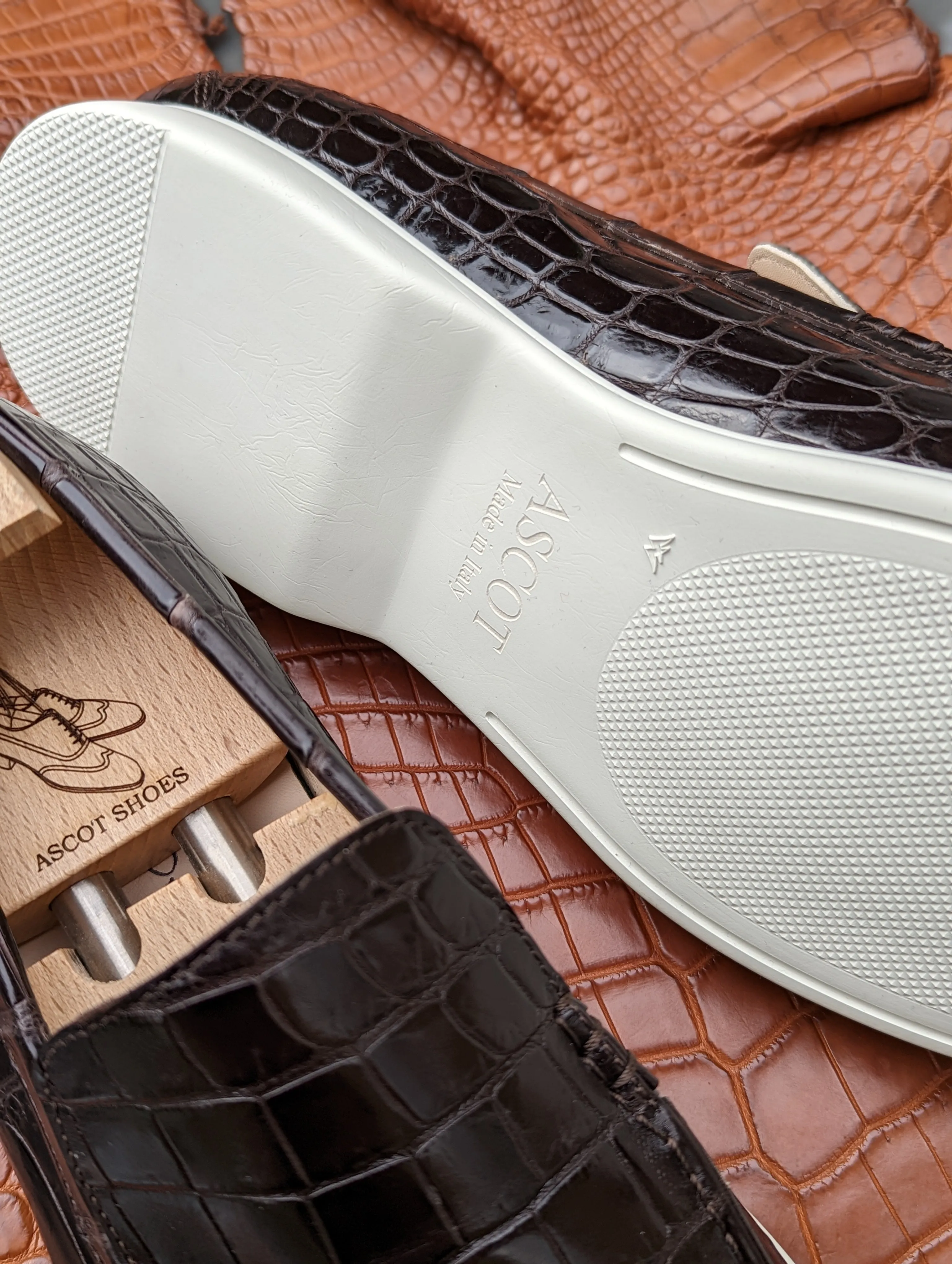 Ascot Ezee - Dark Chocolate Brown Crocodile