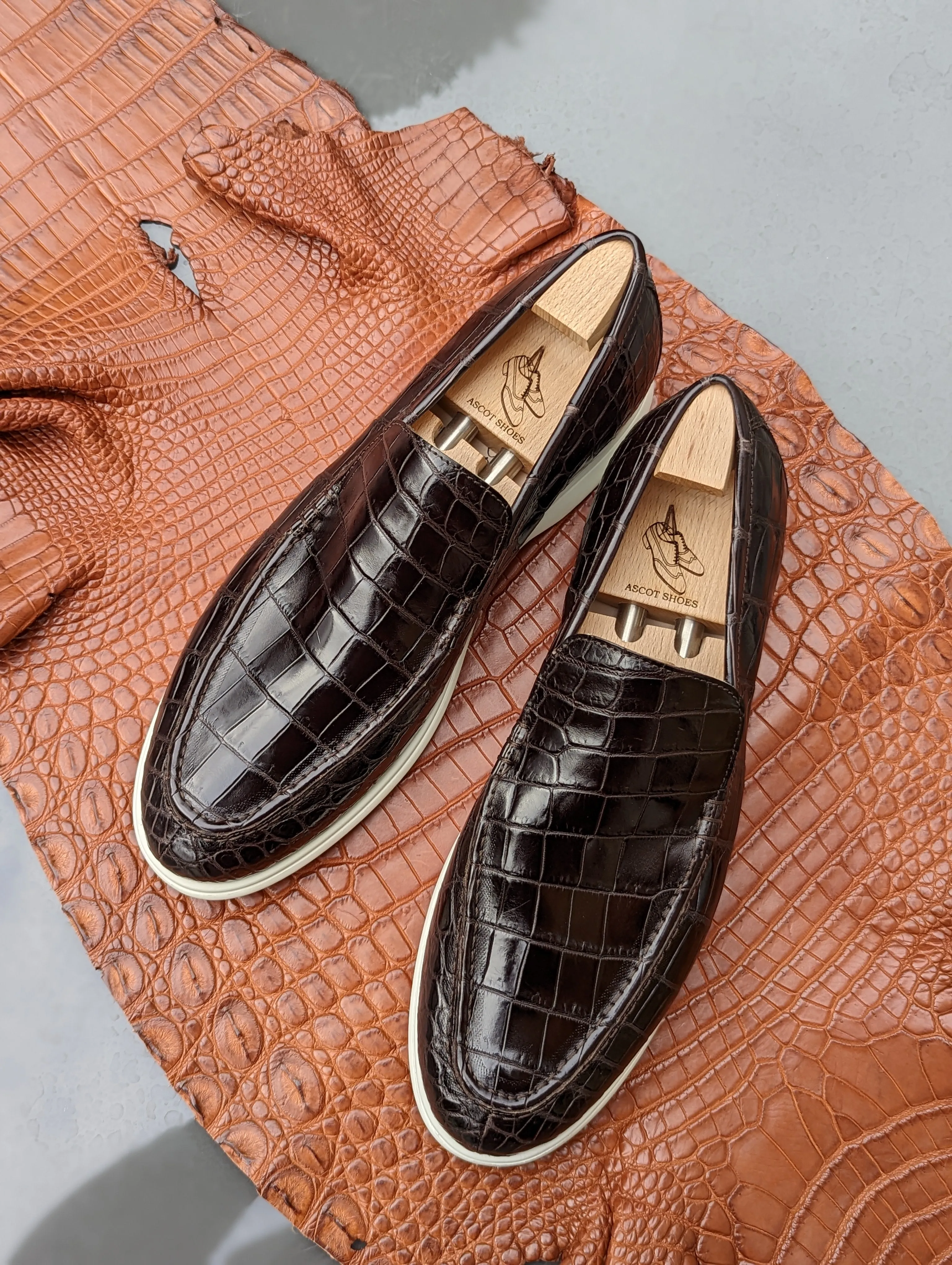 Ascot Ezee - Dark Chocolate Brown Crocodile