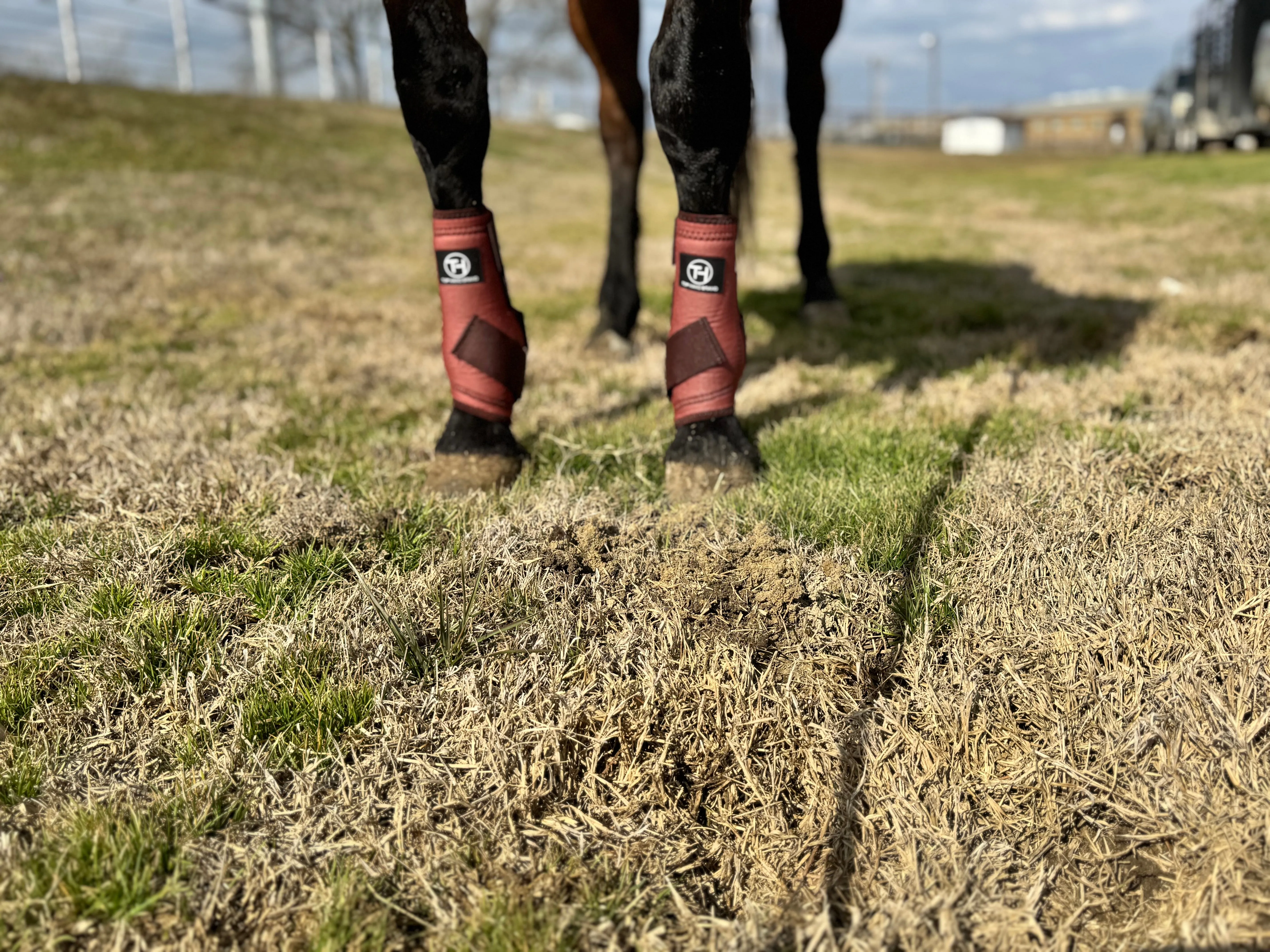 Copper Sport Boots